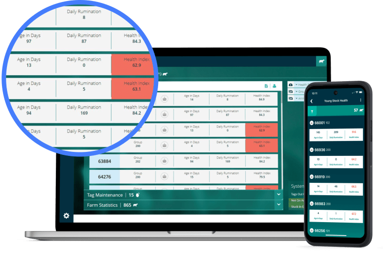 Laptop and phone showing table of data